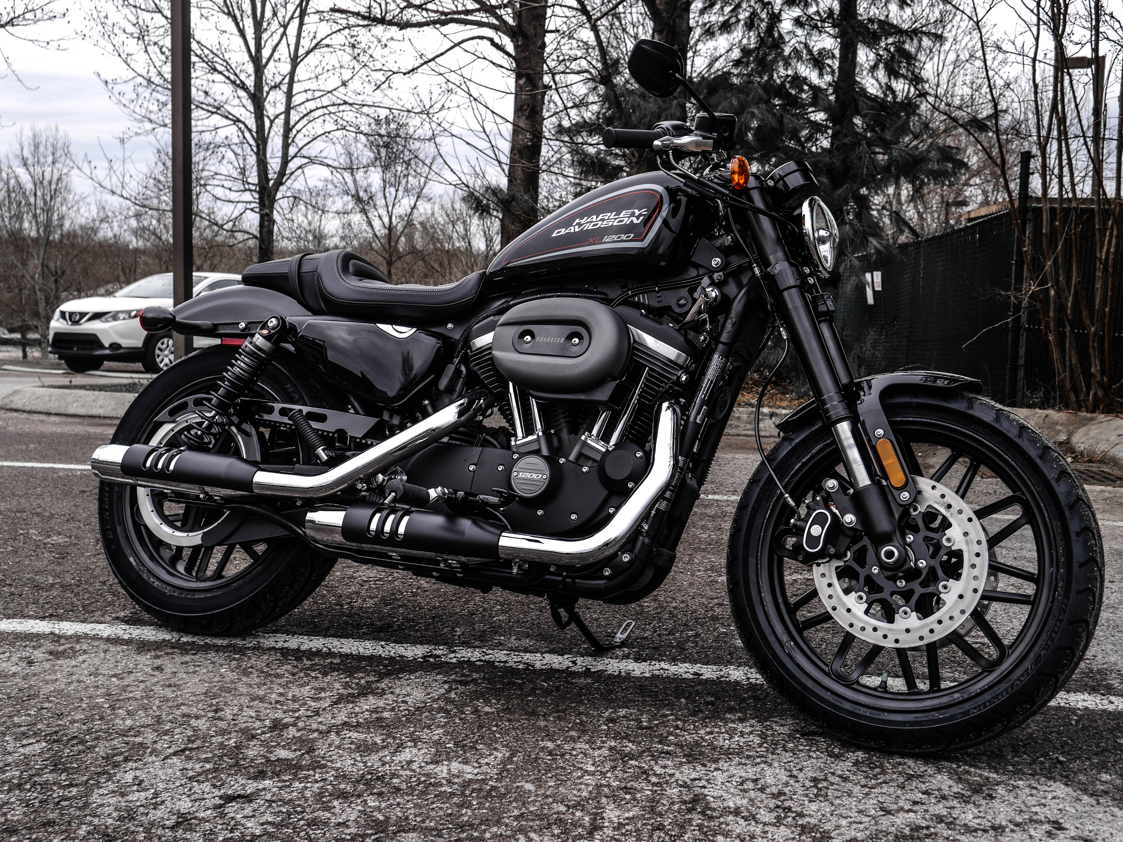 New 2019 HarleyDavidson XL1200CX Roadster in Franklin T416544